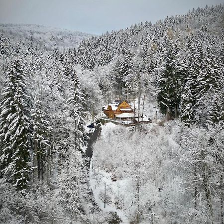 Pensjonat Alpejski Dwor Мендзыгуже Экстерьер фото