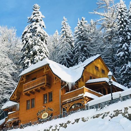 Pensjonat Alpejski Dwor Мендзыгуже Экстерьер фото