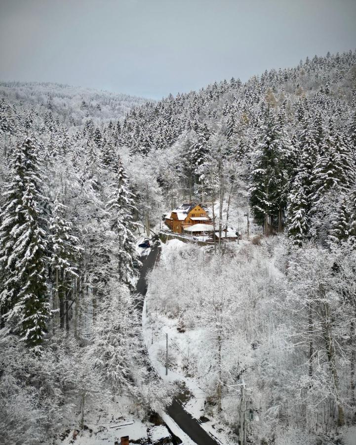 Pensjonat Alpejski Dwor Мендзыгуже Экстерьер фото
