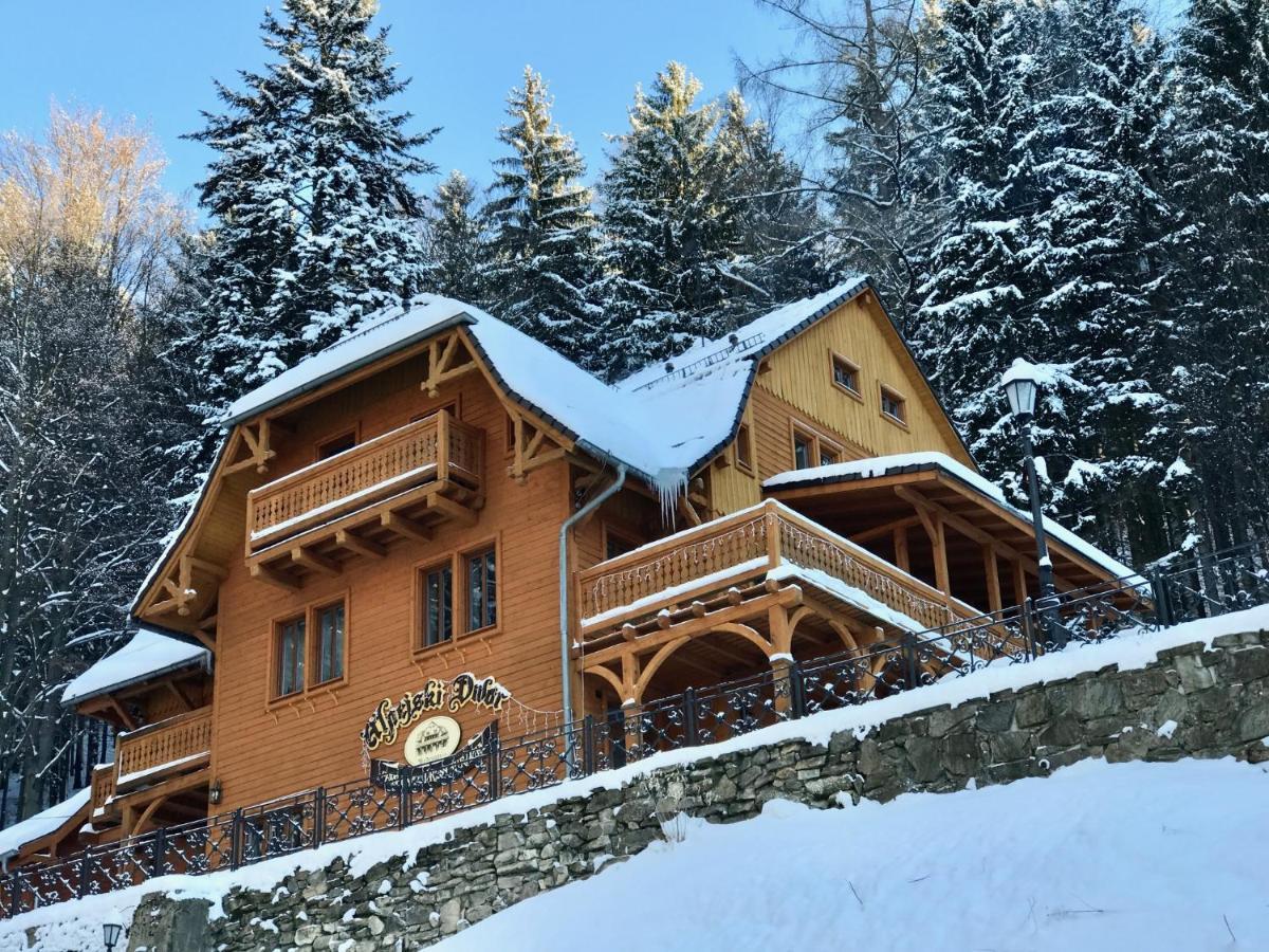 Pensjonat Alpejski Dwor Мендзыгуже Экстерьер фото