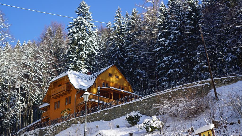 Pensjonat Alpejski Dwor Мендзыгуже Экстерьер фото