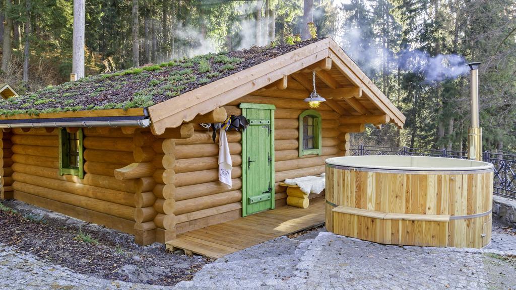 Pensjonat Alpejski Dwor Мендзыгуже Экстерьер фото