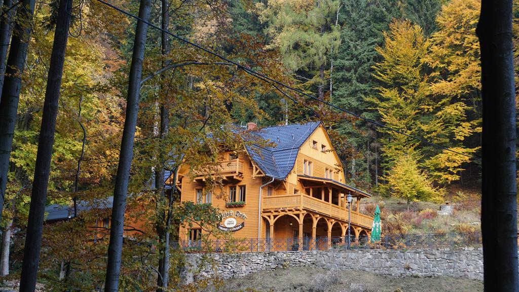Pensjonat Alpejski Dwor Мендзыгуже Экстерьер фото