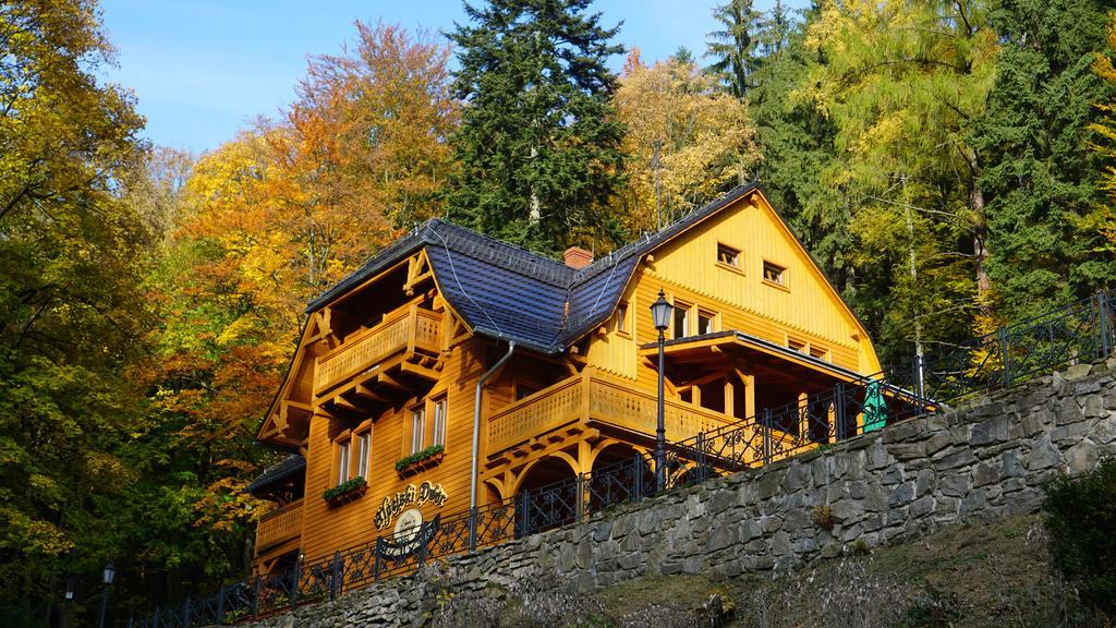 Pensjonat Alpejski Dwor Мендзыгуже Экстерьер фото